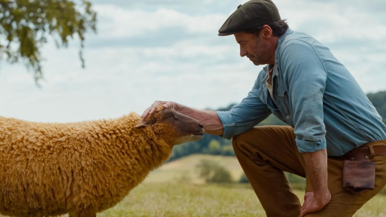 Hugh Jackman petting a sheep